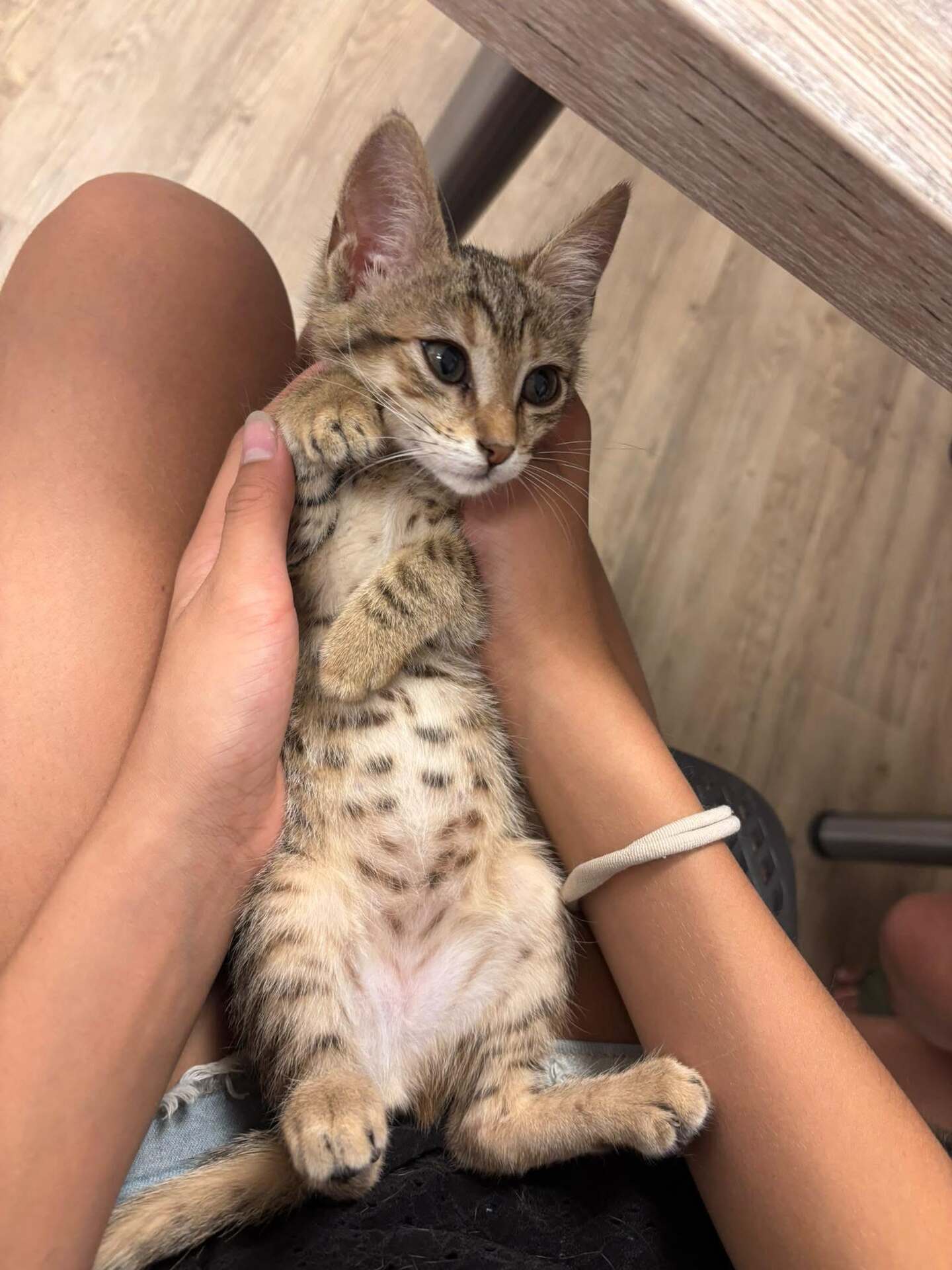 Adopter VICTORIA