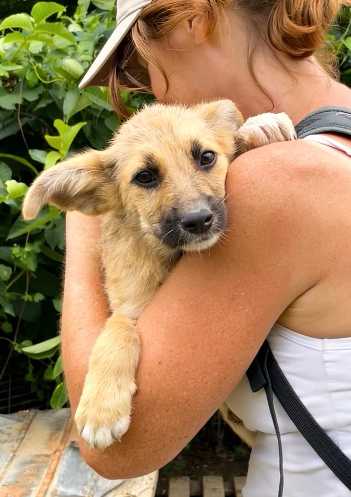 Adopter RUBY