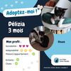 Délizia