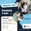 Dontella