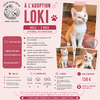 Loki