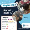 Marius