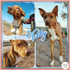 Tobby