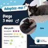 Diego