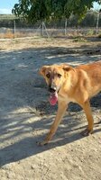 Adopter : Bady