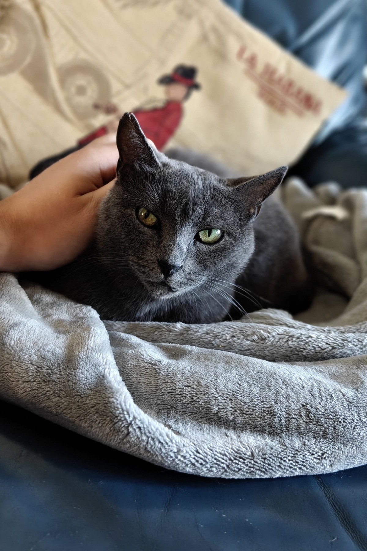 Adoption Taya