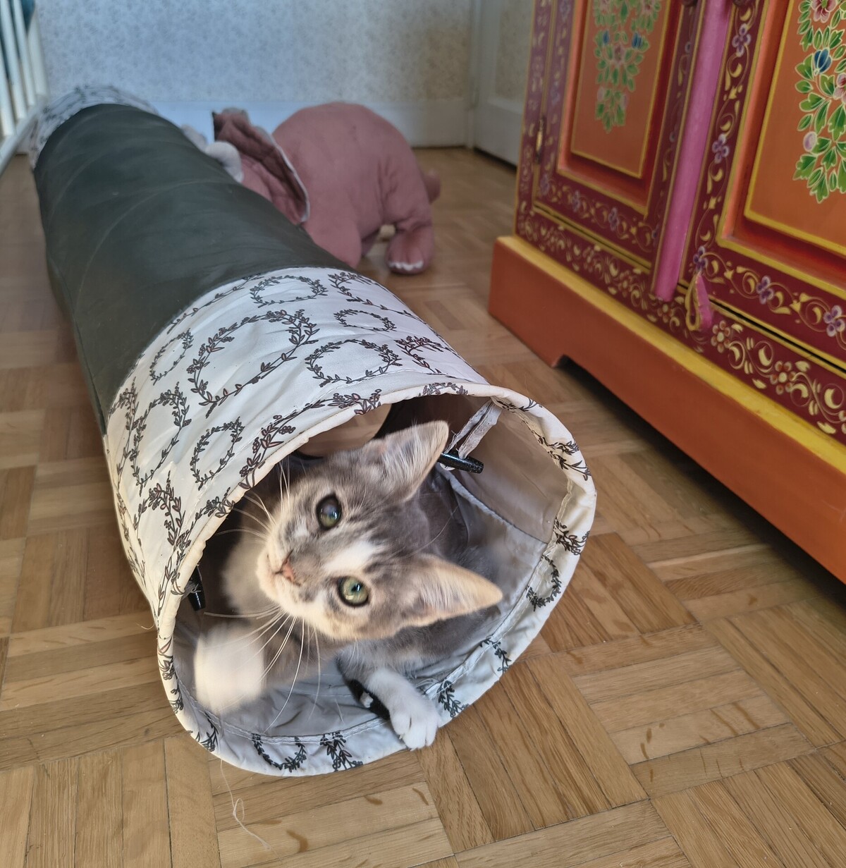 Adoption Vroum