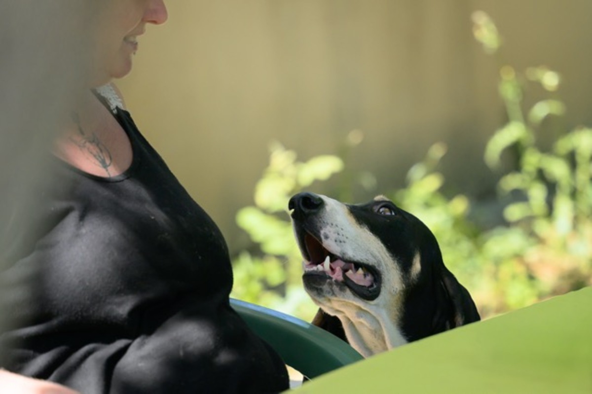 Adoption Urios