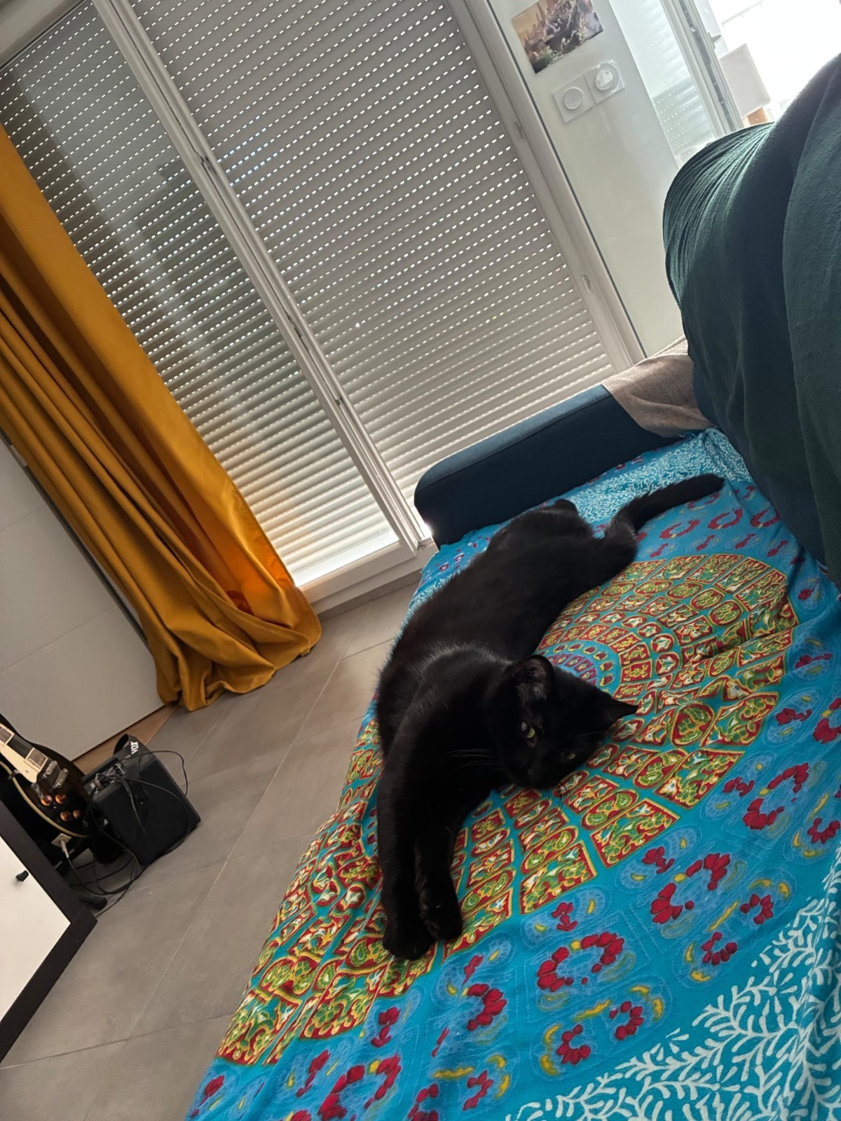 Adoption Onyx