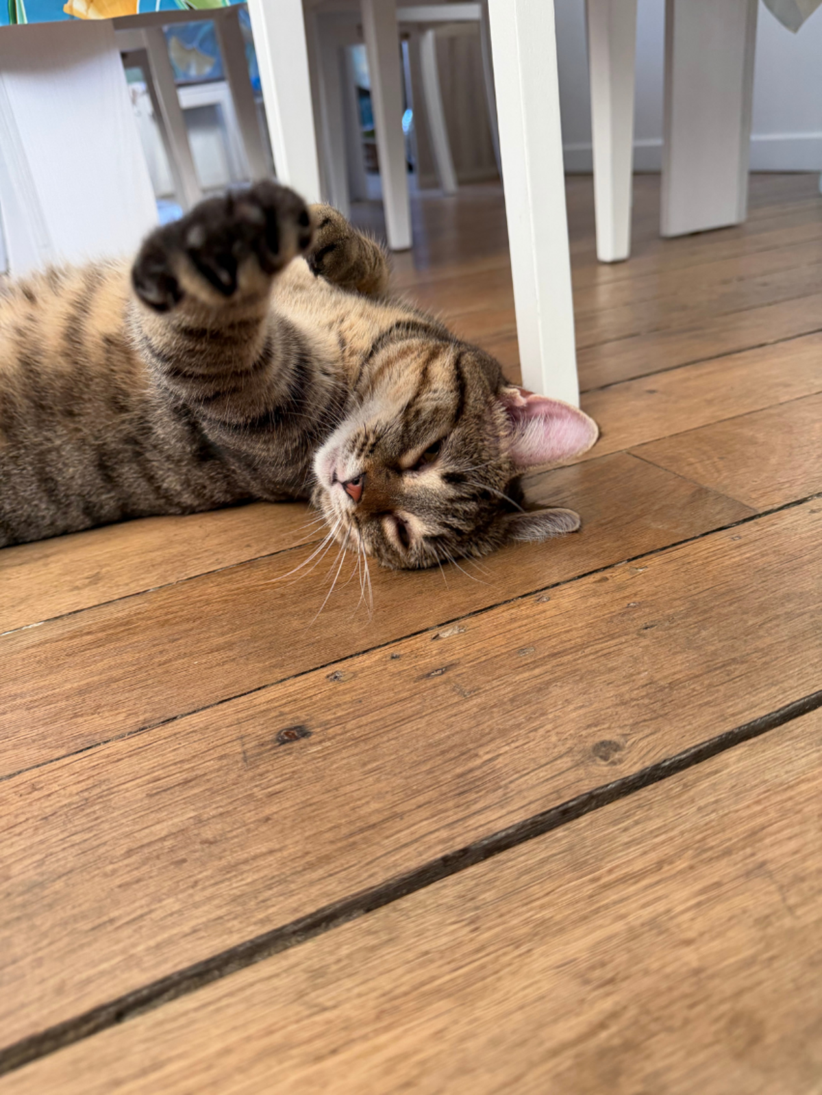 Adoption Lilie