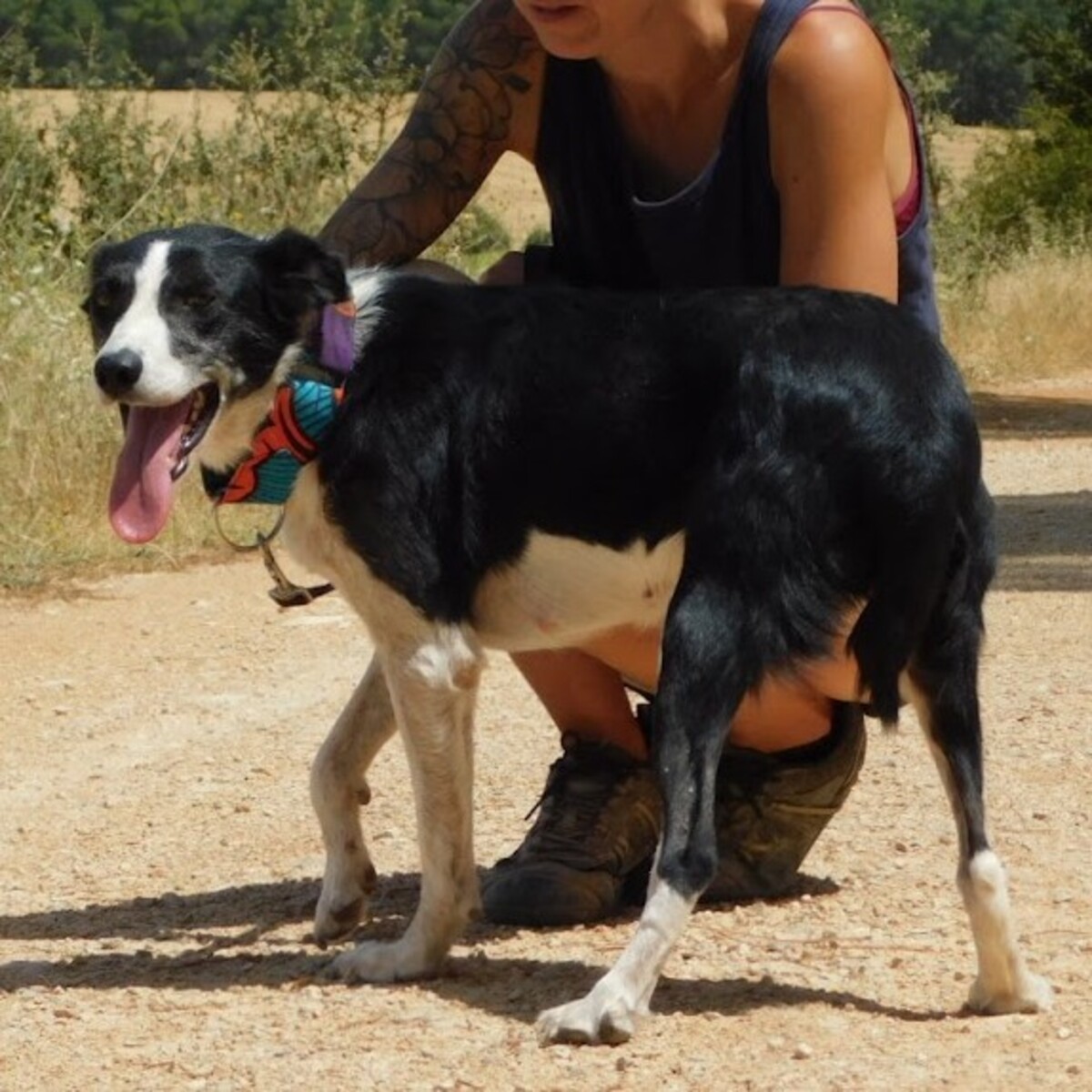 Adoption Toni