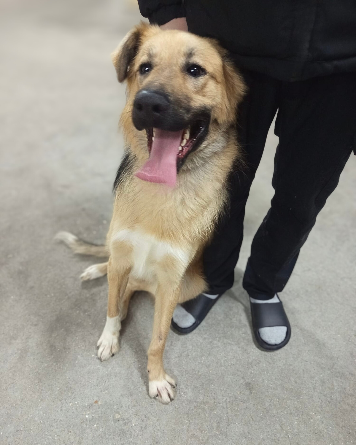 Adoption Kinder