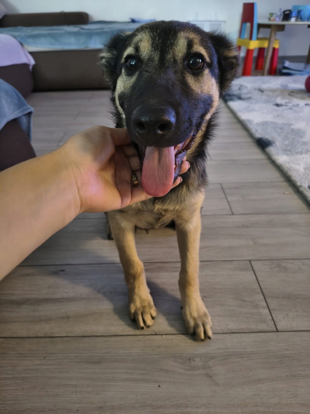 Adoption Shado