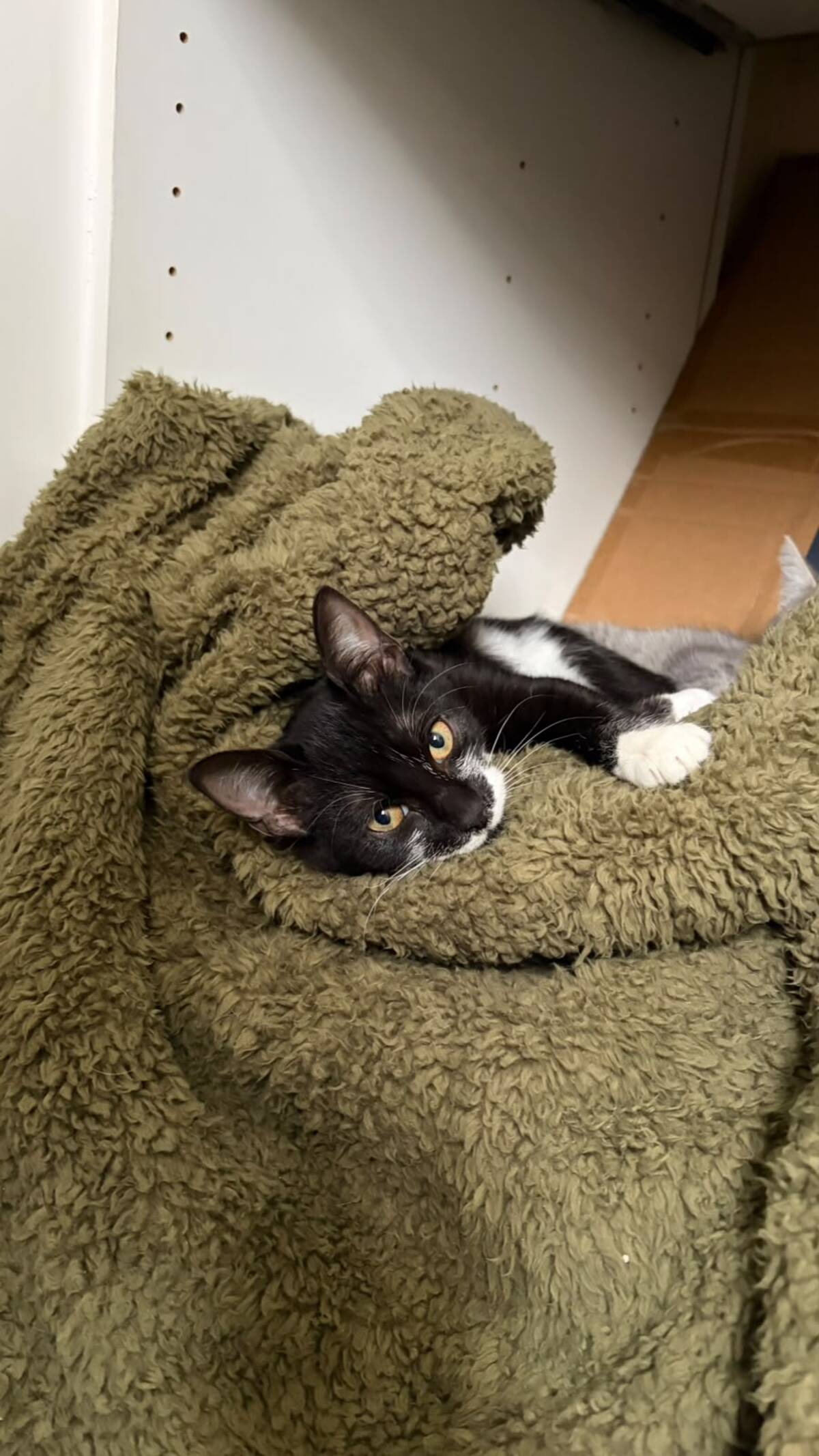 Adoption Fillette