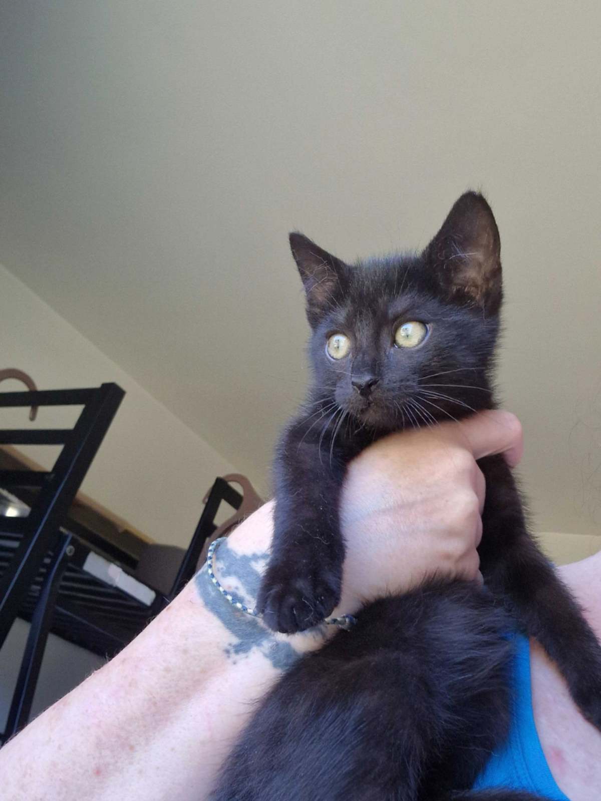 Adoption Bornéo