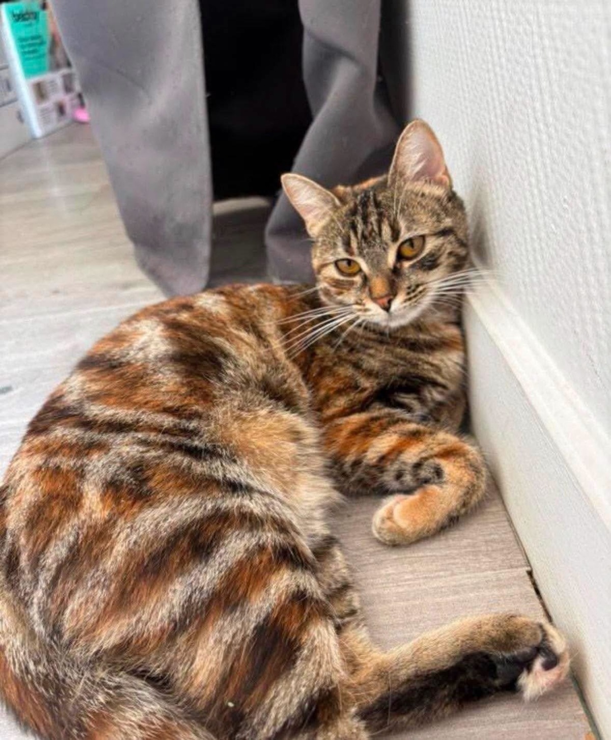 Adoption ARUNDATI ET ANURADA