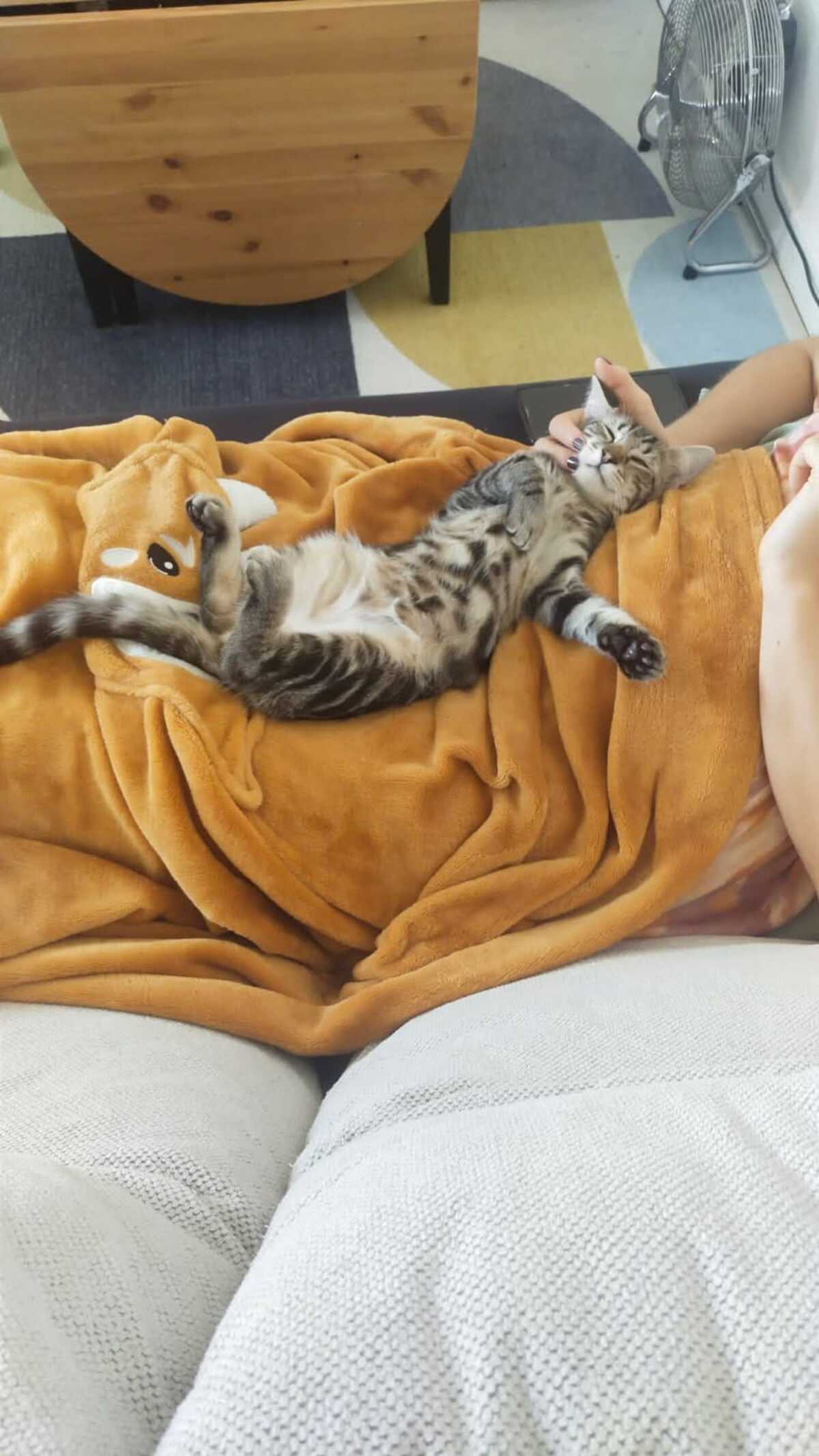Adoption Pinceau