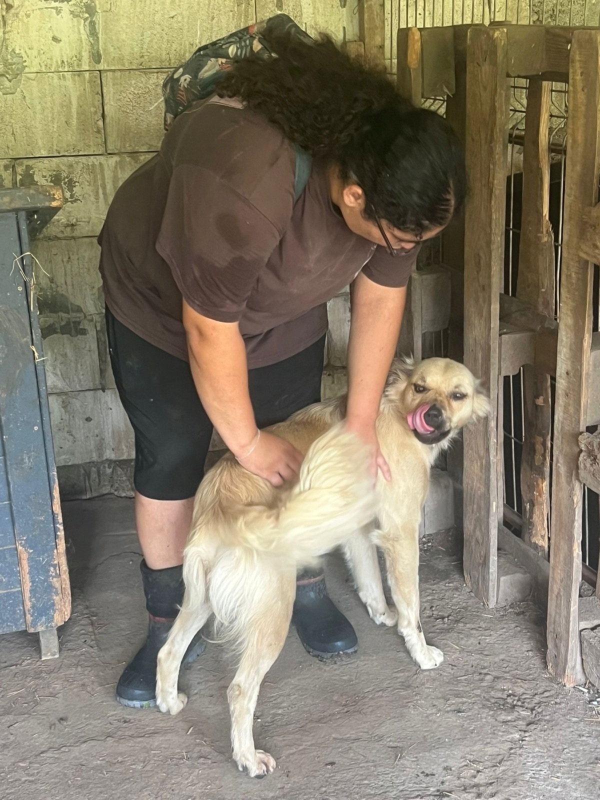 Adoption Gatine