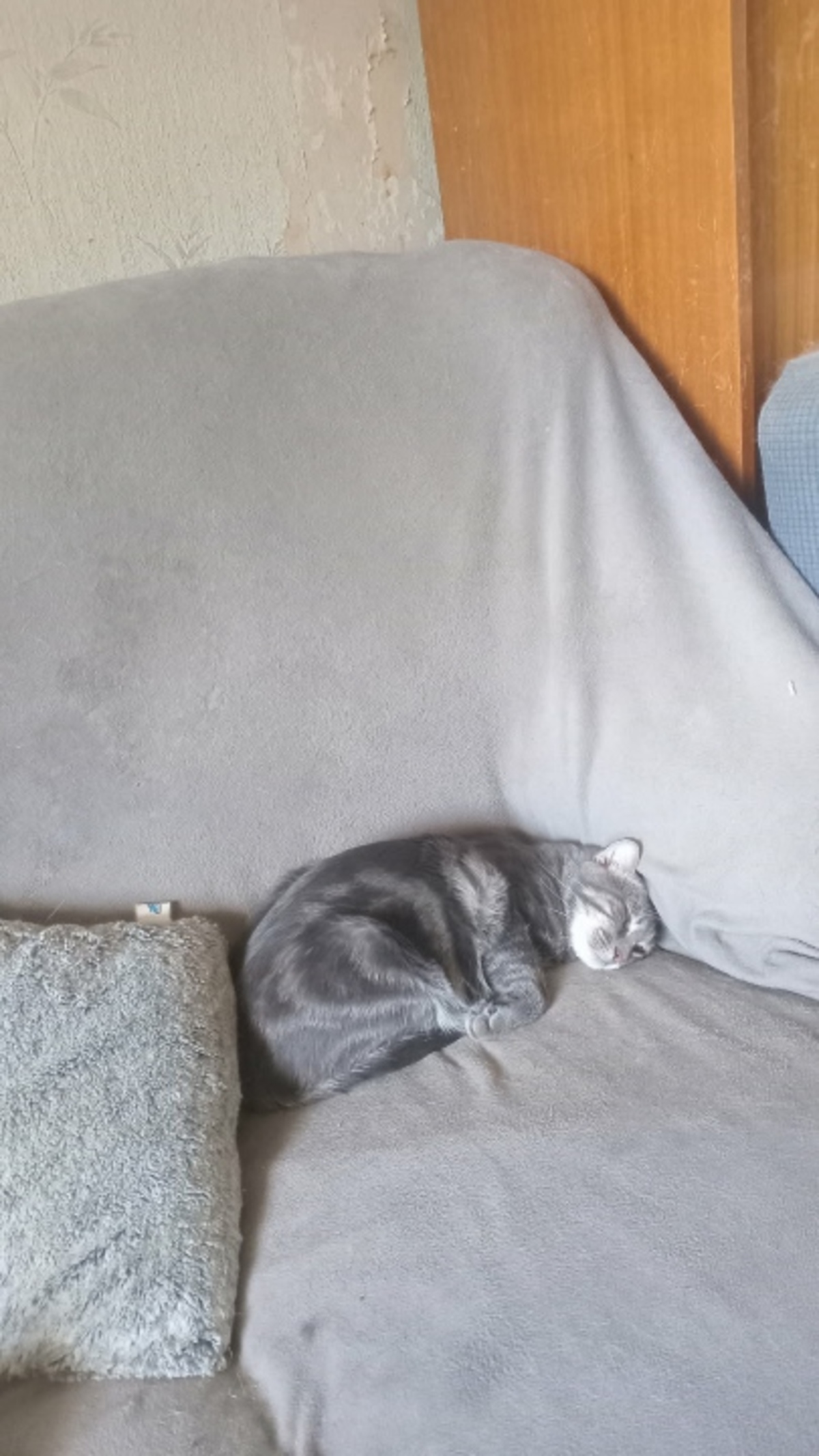 Adoption Honey