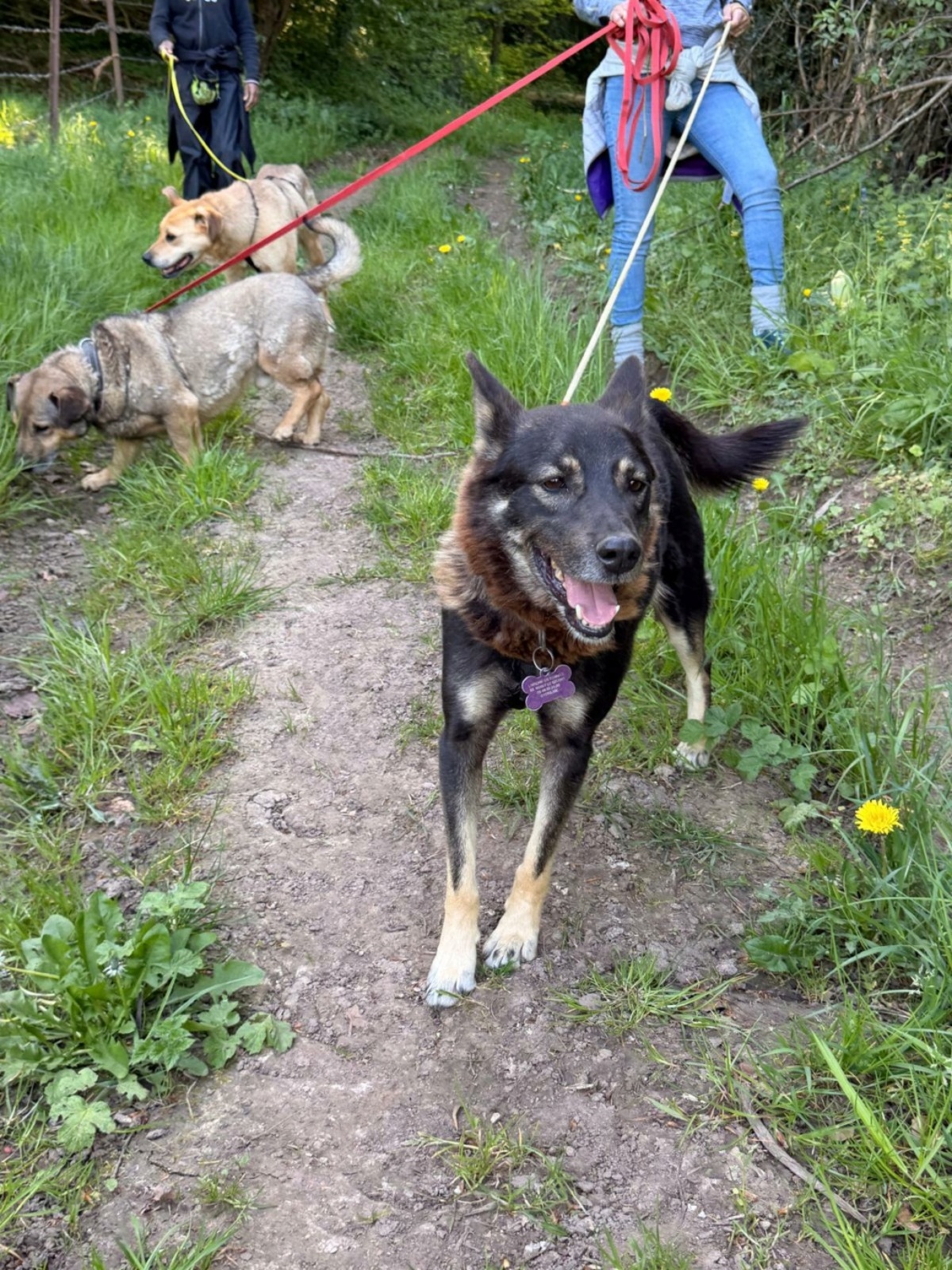 Adoption Bonnie
