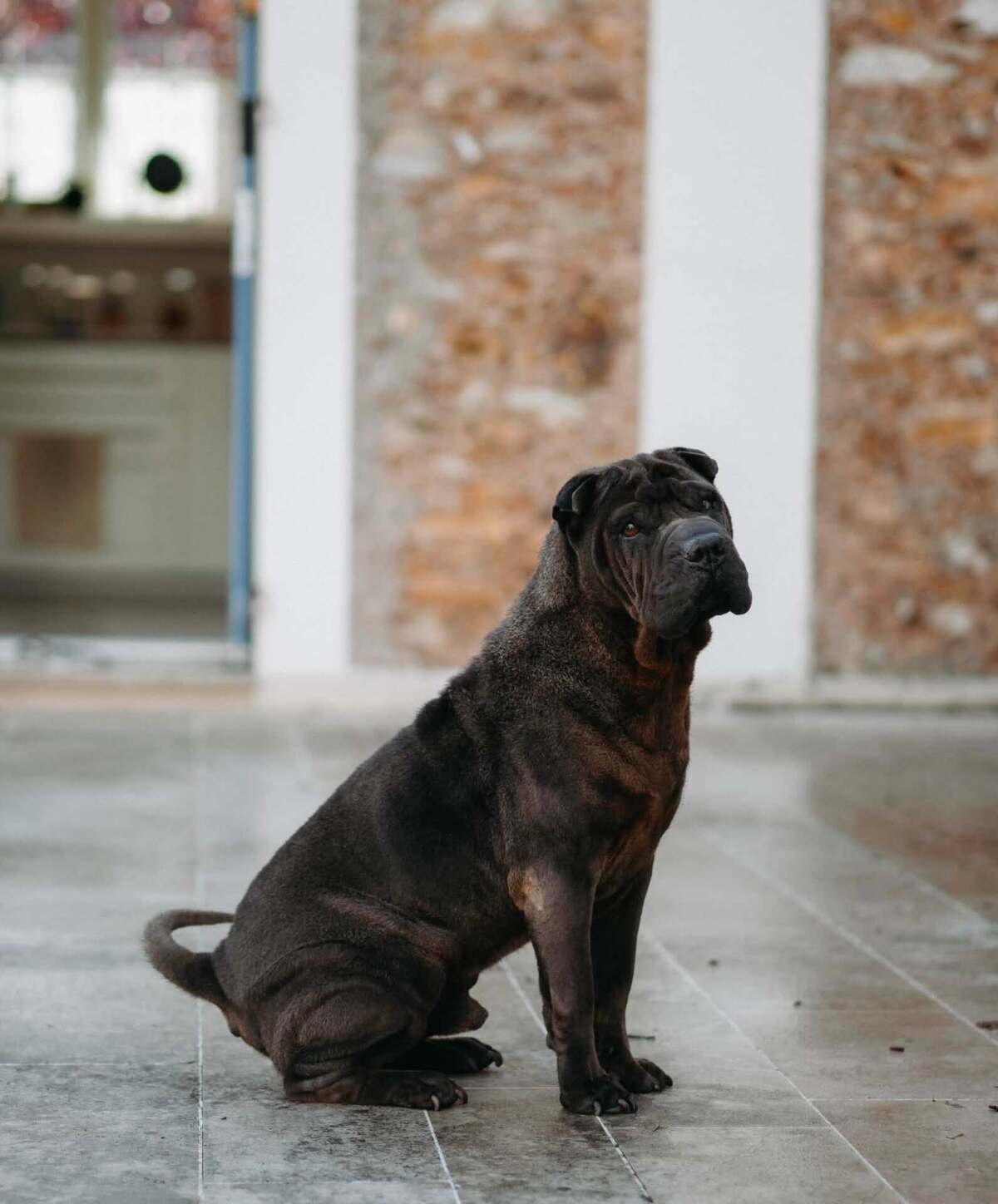 Adoption MYBOO