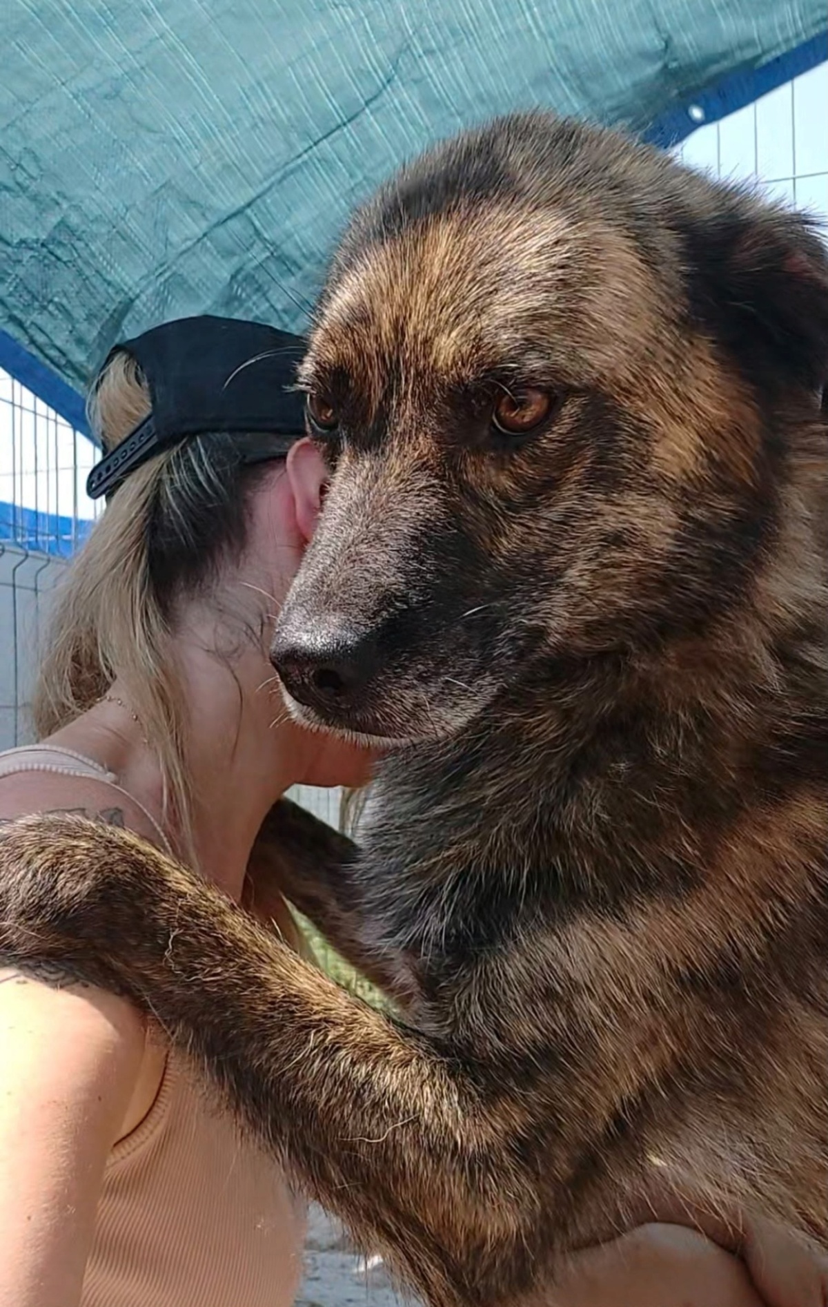 Adoption Flavio
