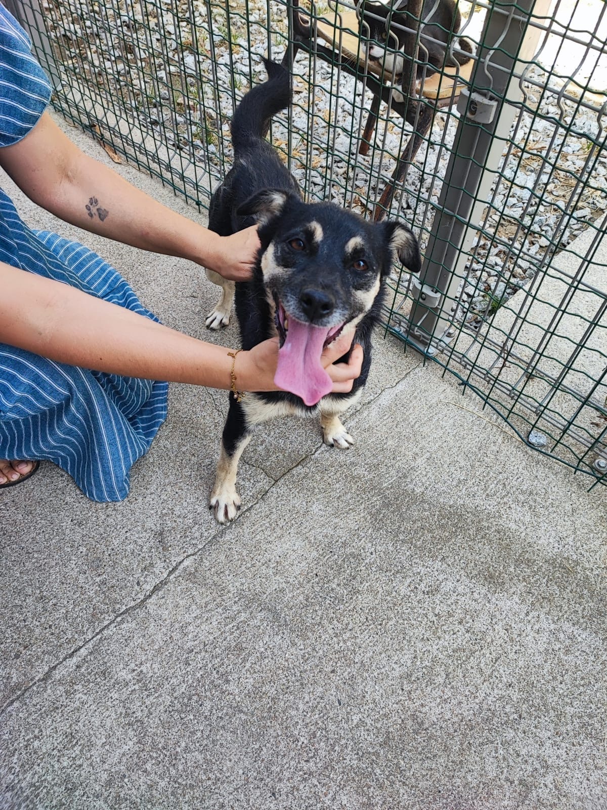 Adoption Princesse