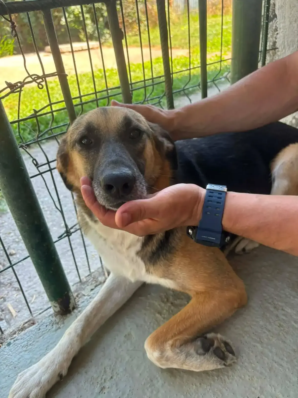 Adoption Lyana