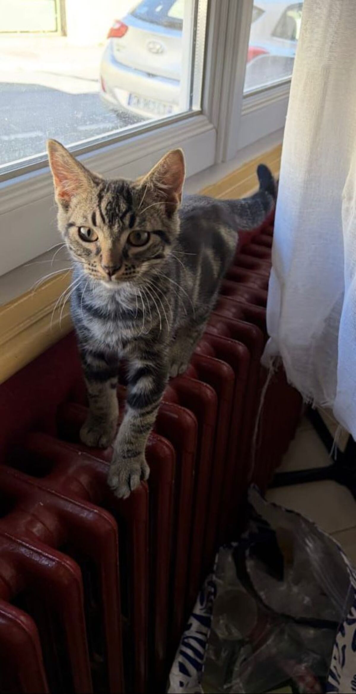 Adoption Etha