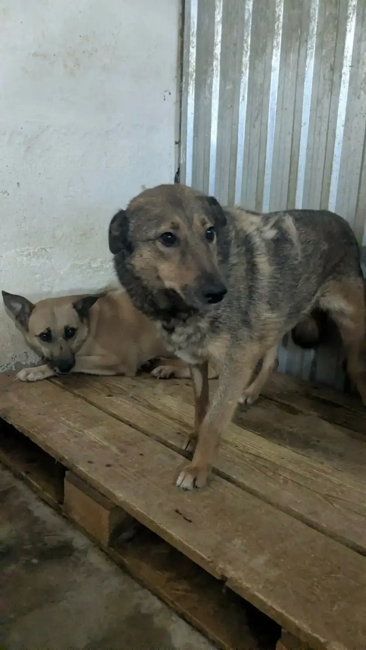 Adoption Namibia