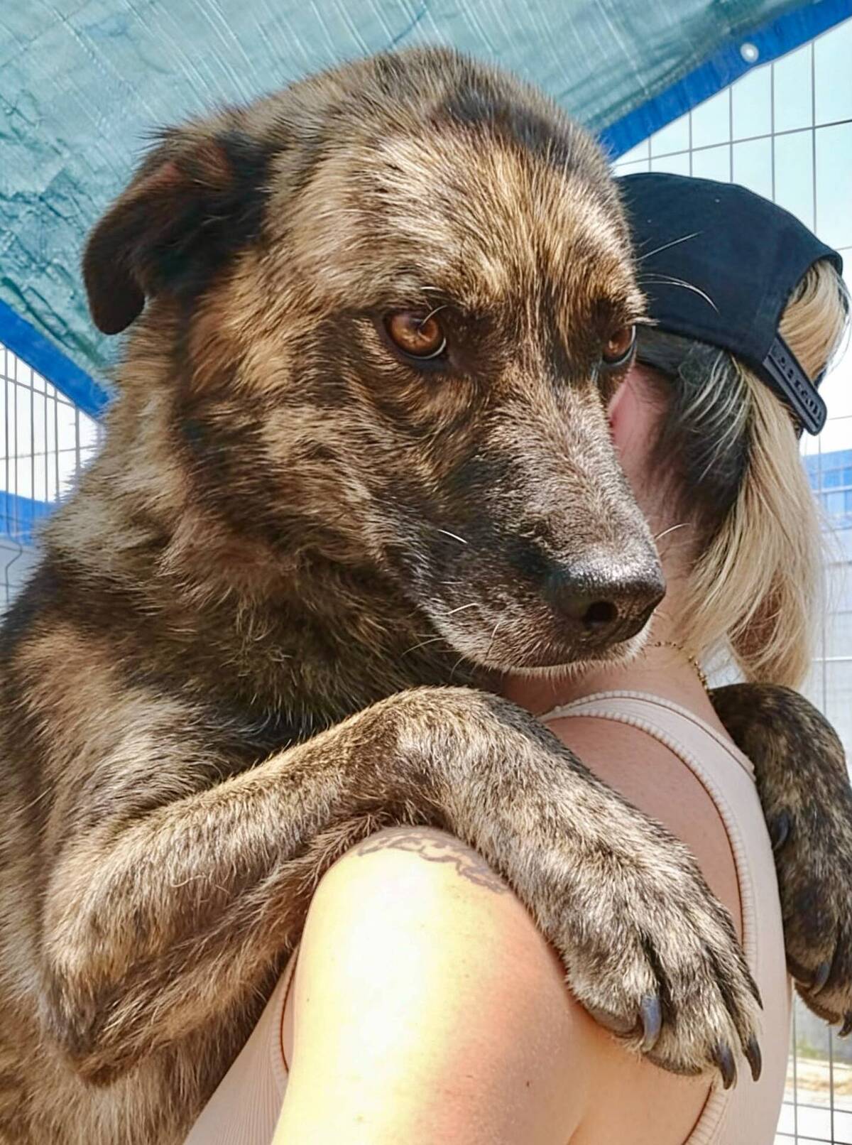 Adoption Flavio