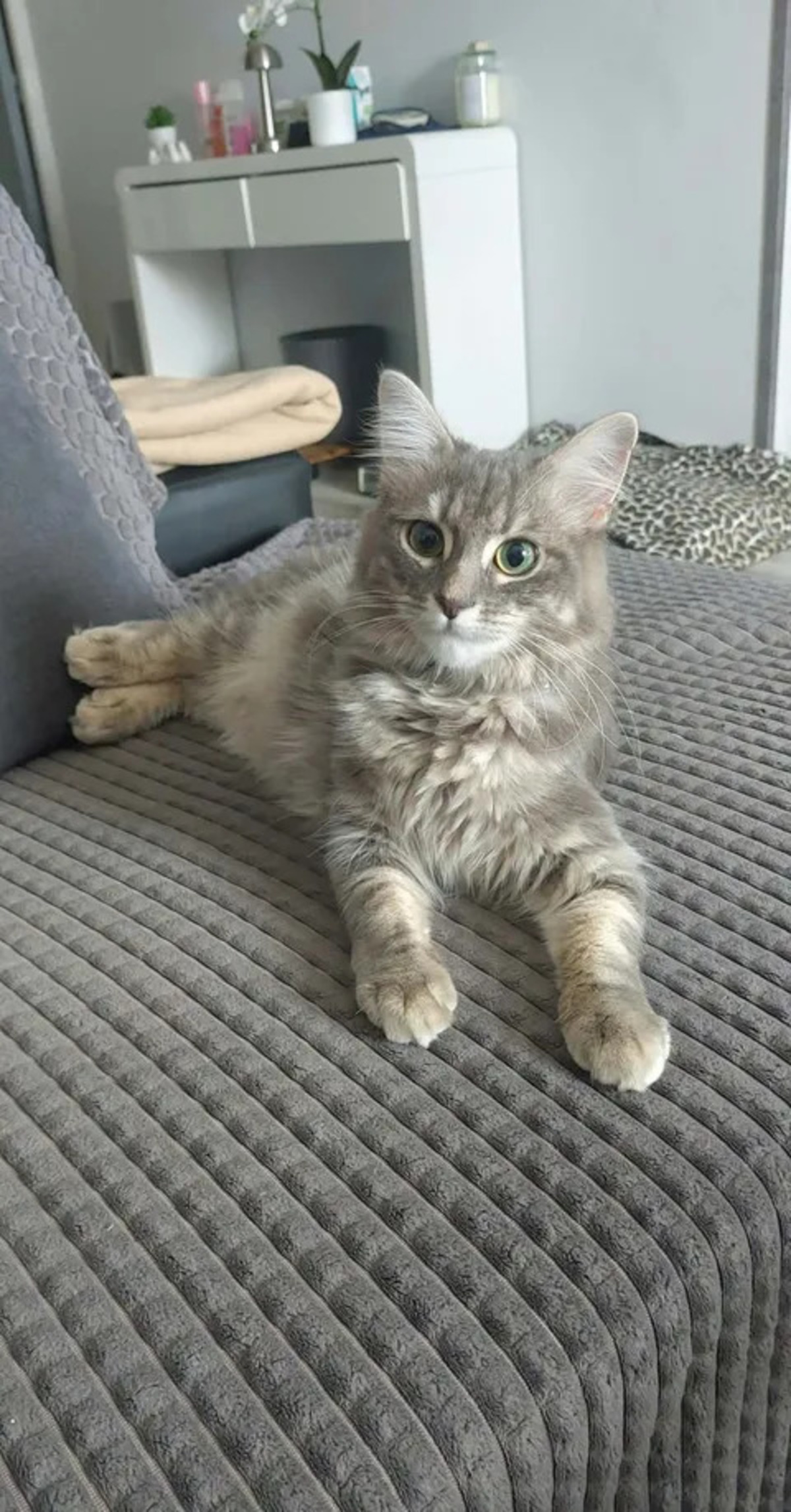 Adoption Genelie