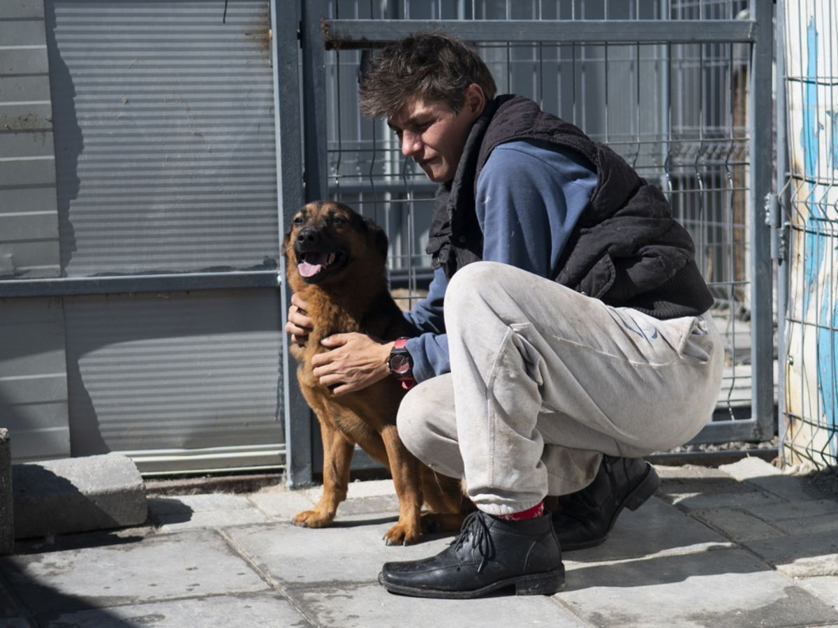 Adoption Camilio