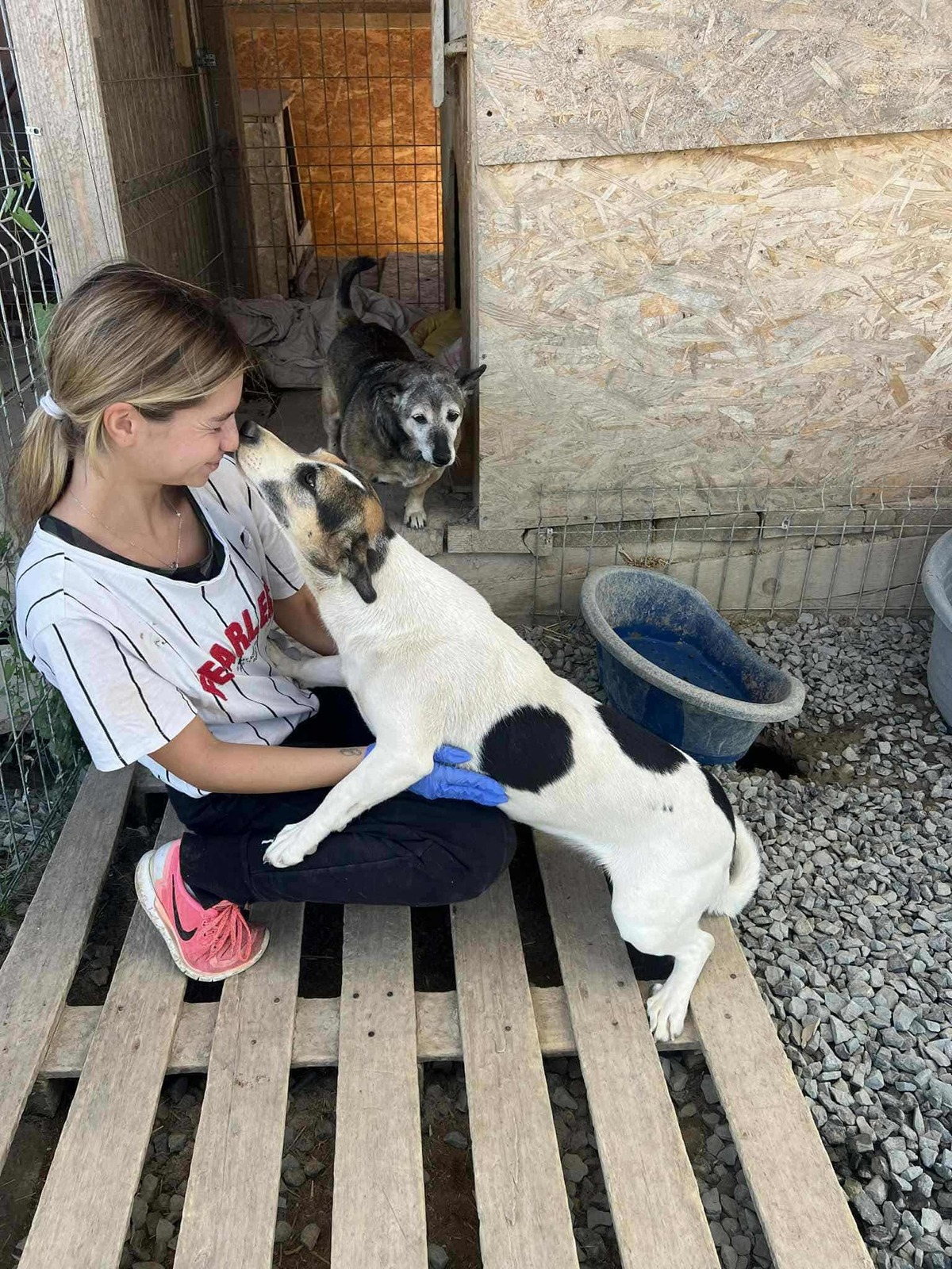 Adoption Mira