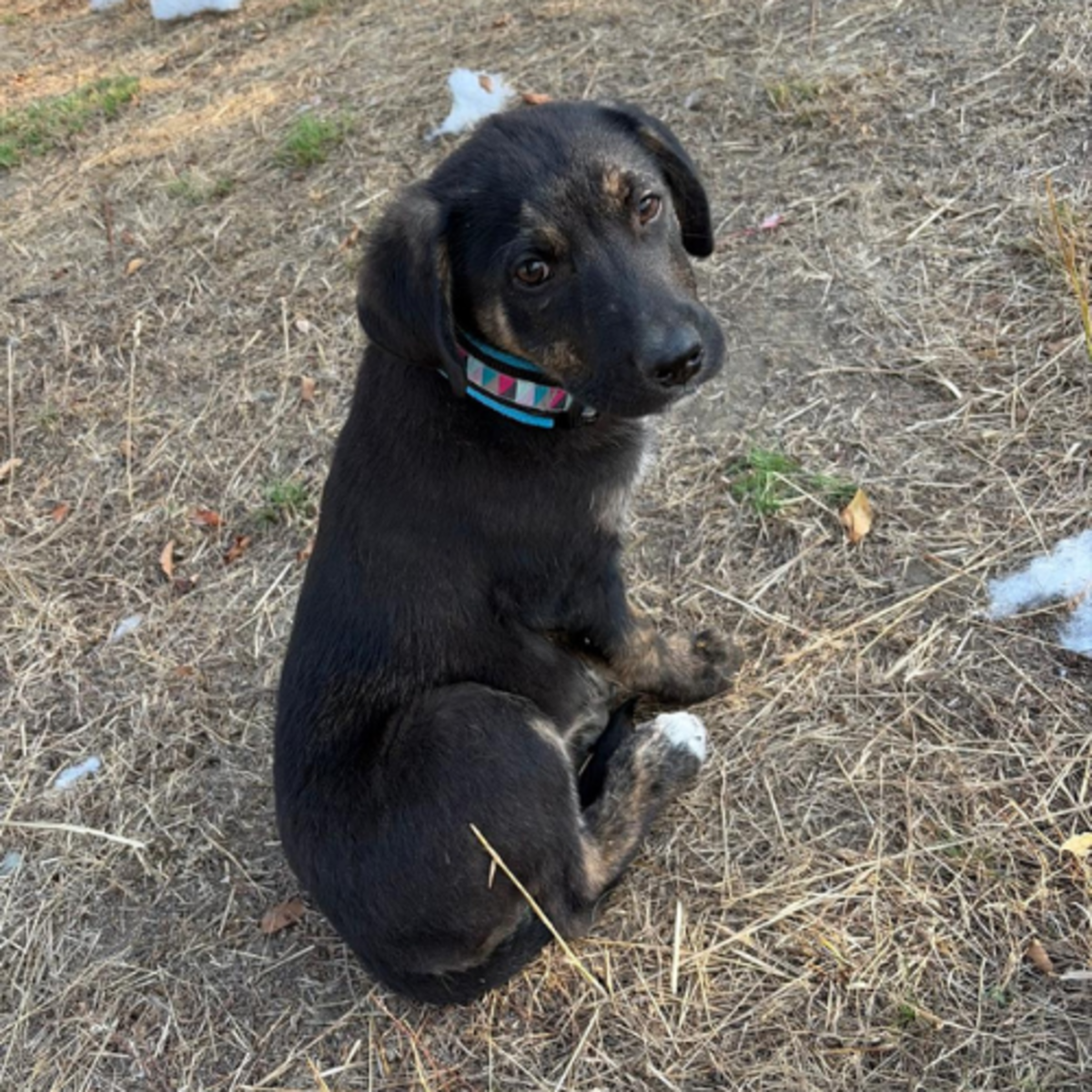 Adoption EOLE