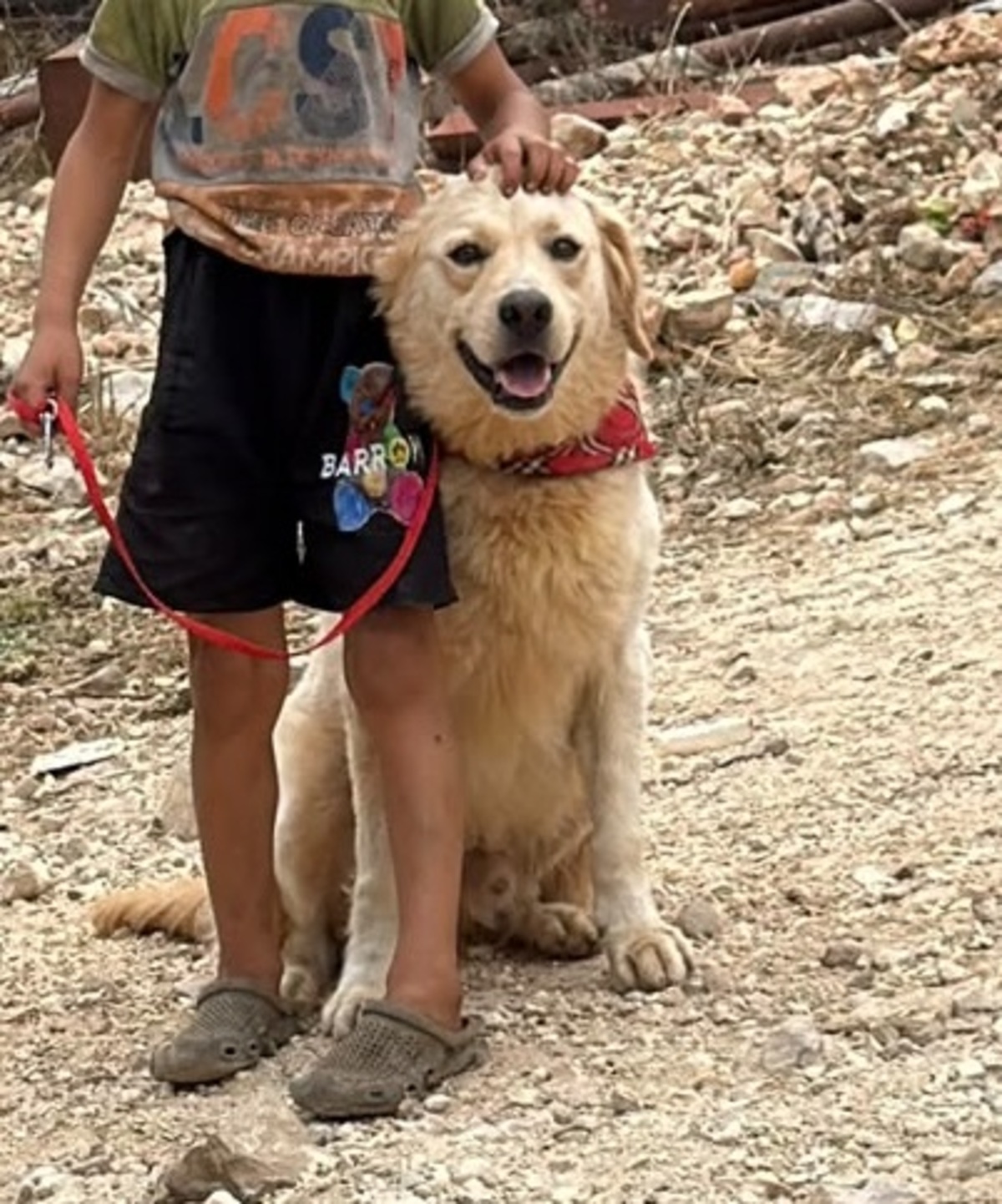 Adoption Teddy