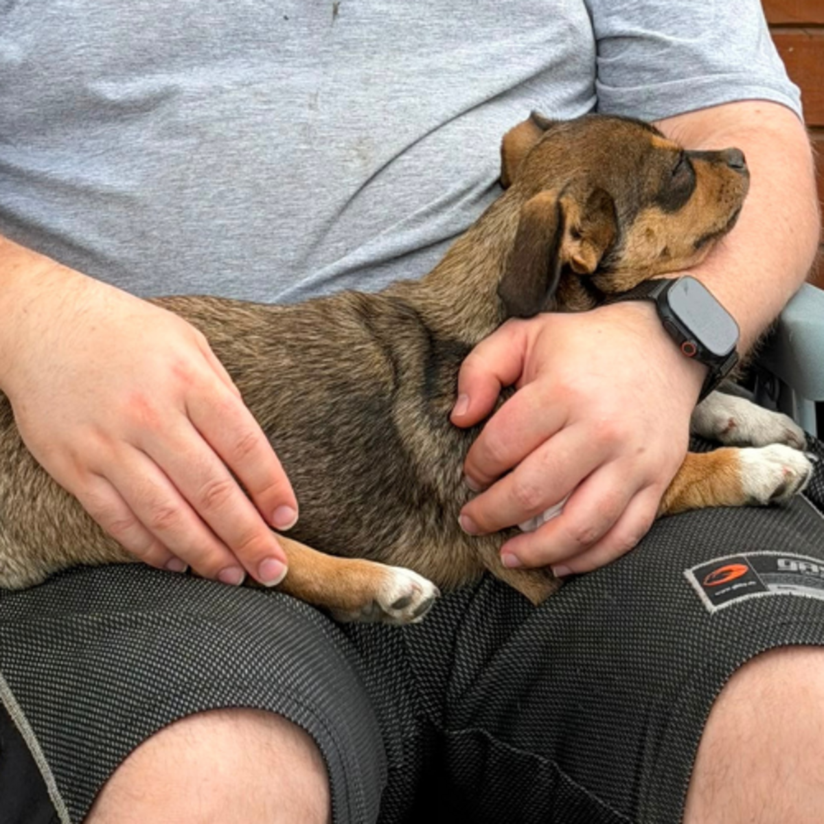 Adoption FROGGI