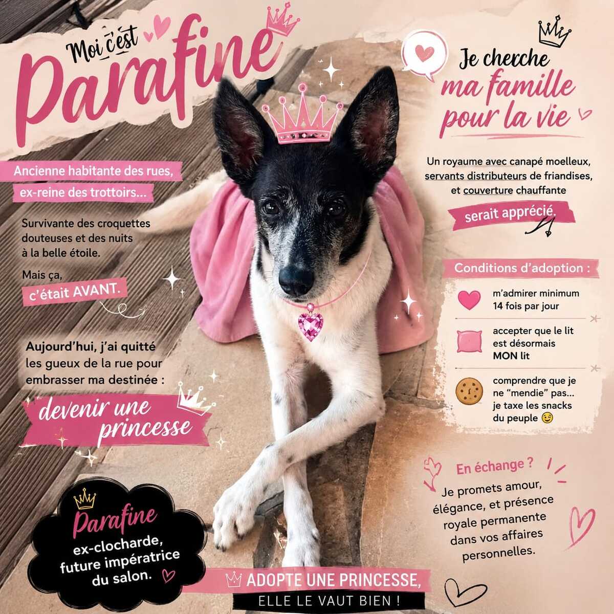 Adoption Paraffine