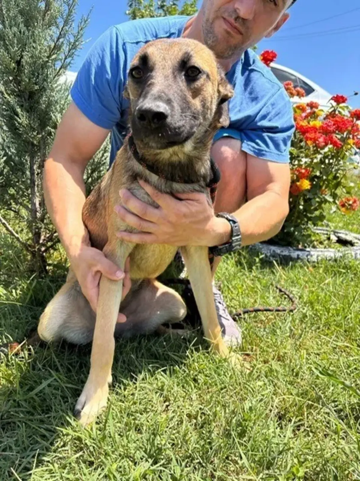 Adoption Asha