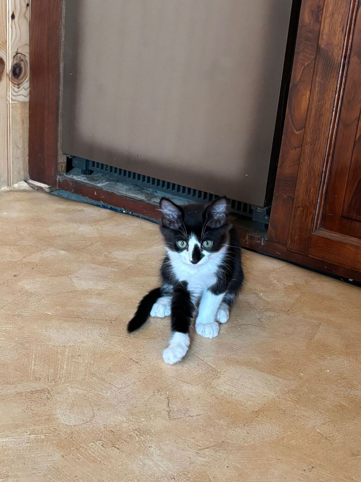 Adoption Jamie