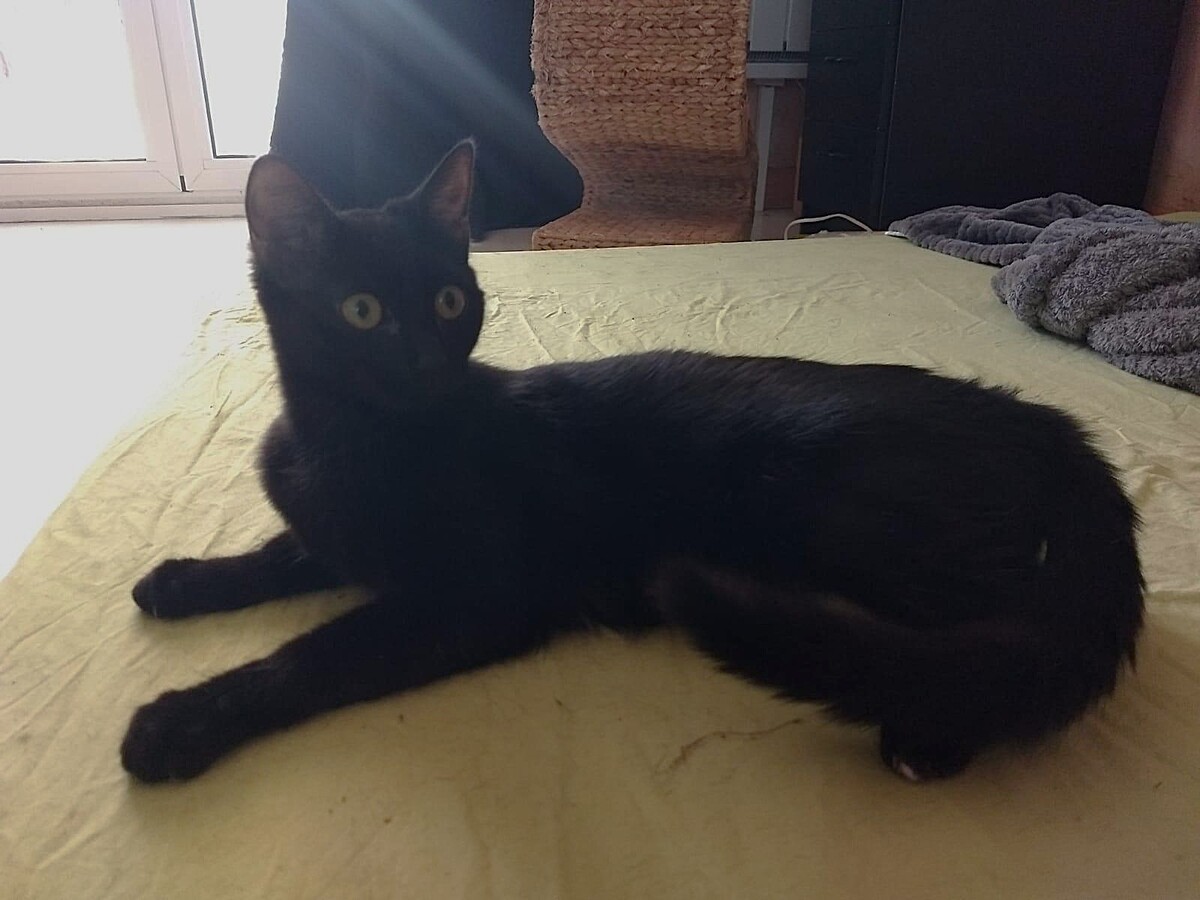 Adoption Becky
