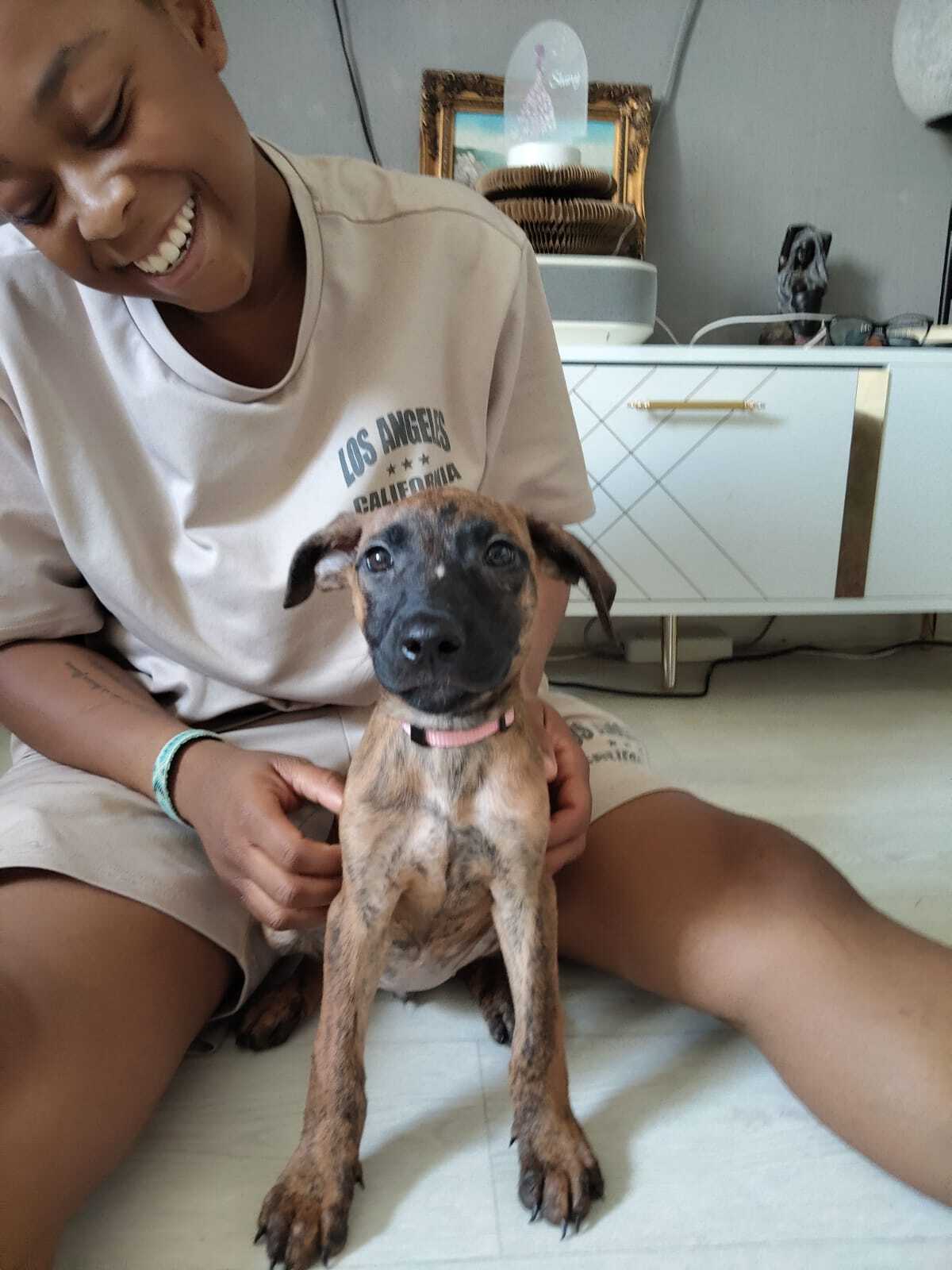 Adoption Rosa