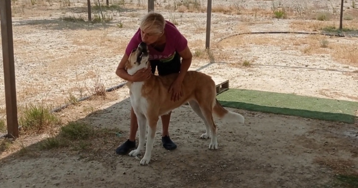 Adoption Capi