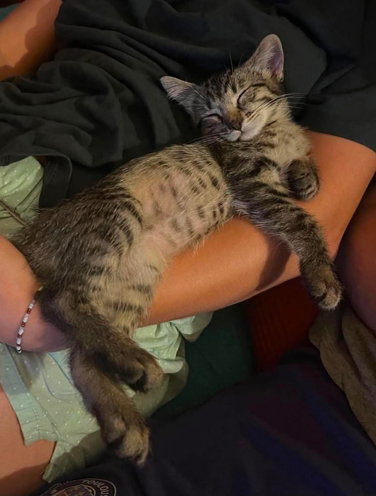 Adoption PILVI