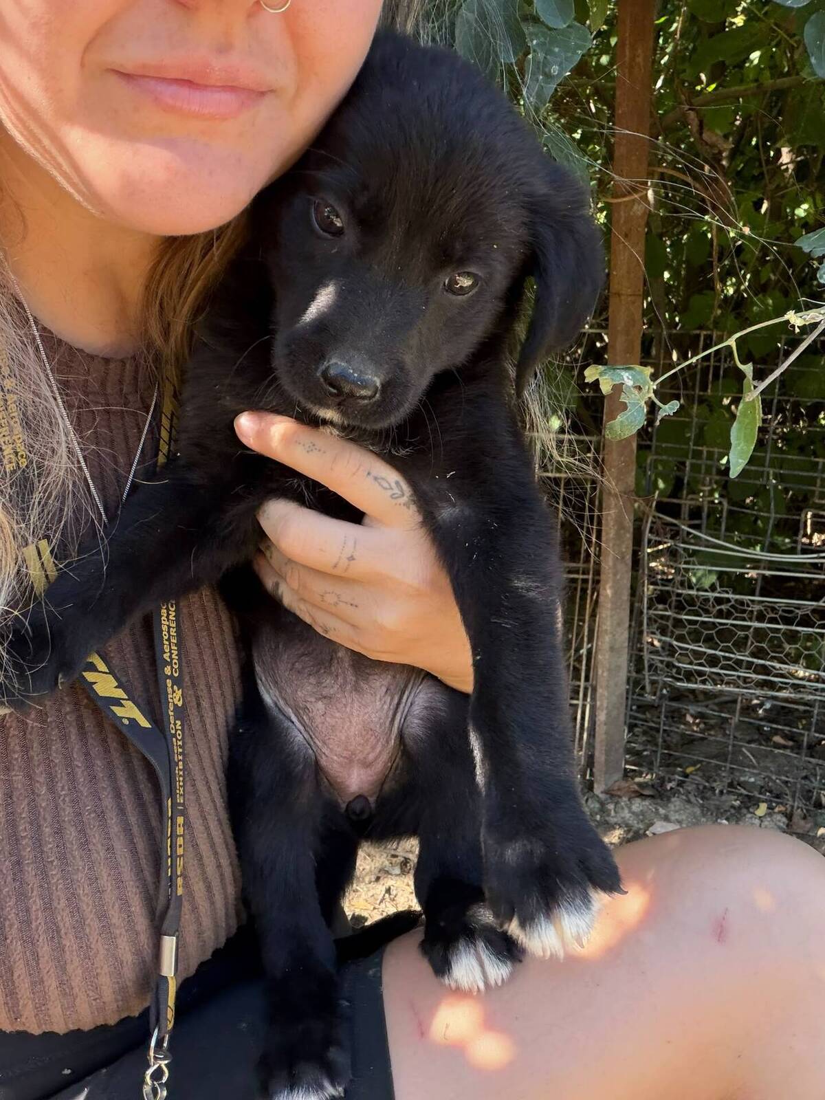 Adoption Maddy