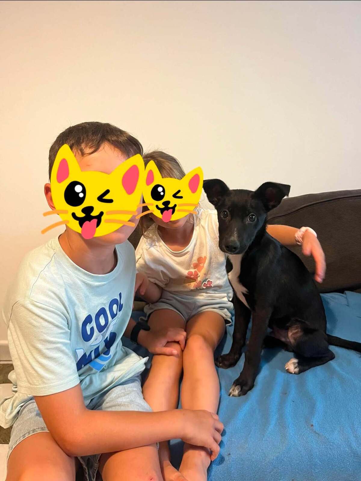 Adoption SAPHIR