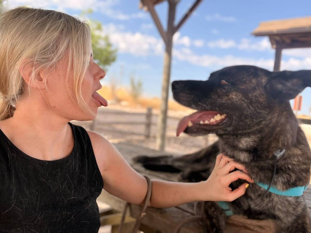 Adoption Ana
