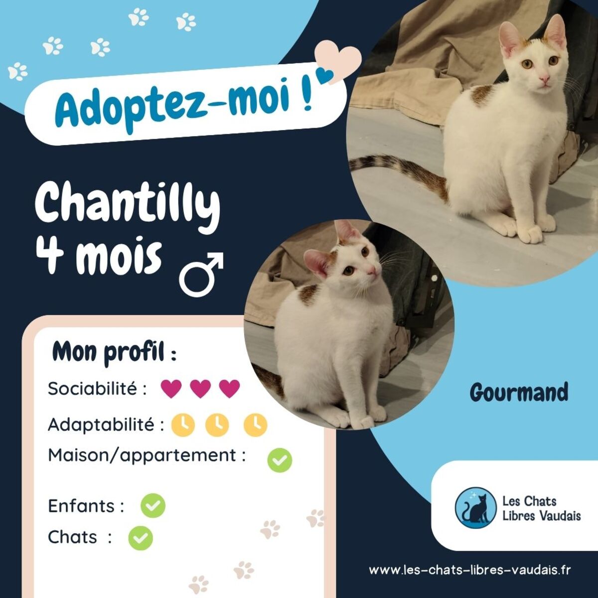 Adoption Chantilly