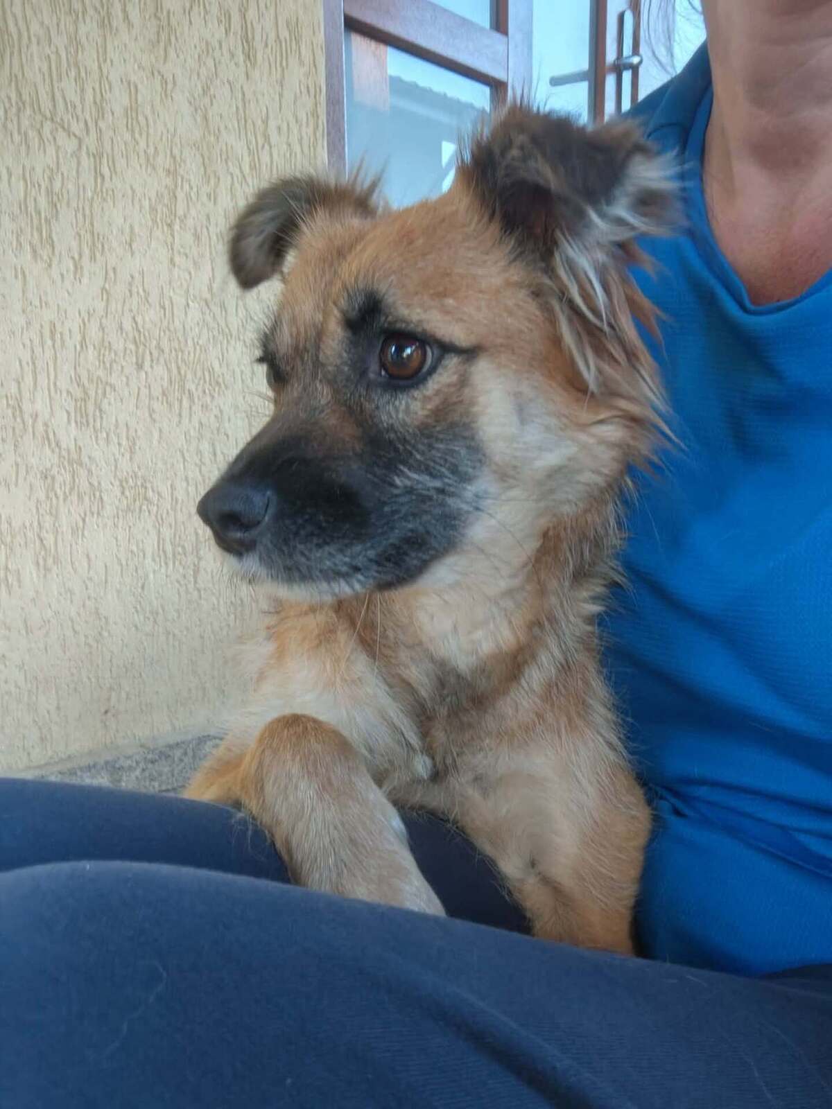 Adoption Naïa