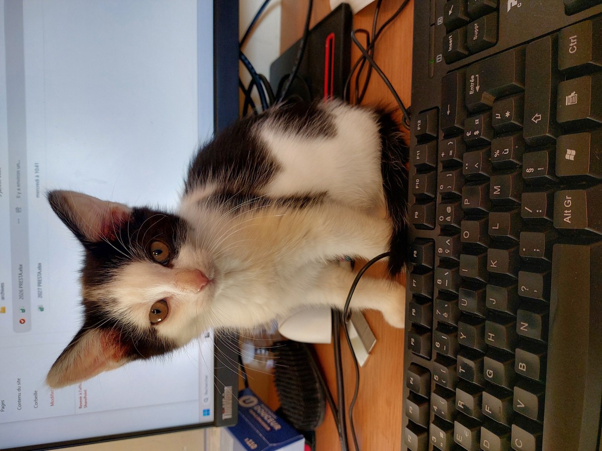 Adoption Billy